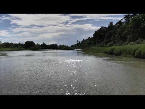 CA003 Ladner Reach Refuge BC, CA.