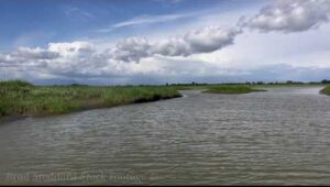 CA004 Ladner Reach Islands BC, CA.