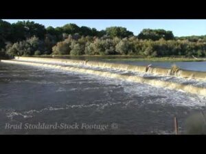 NM016 Rio Grande Diversion Dam (6)