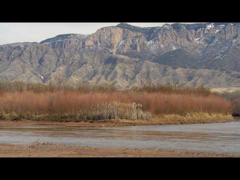 NM102 Rio Grande -  Sandia Mountain Winter #2 4k 24p preview