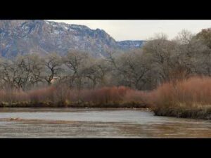 NM103 Rio Grande - Sandia Mountain Winter - 4k 24p