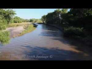 NM041 Gila River Downstream