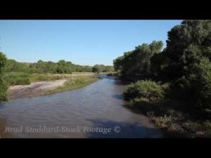 NM042 Gila River Downstream