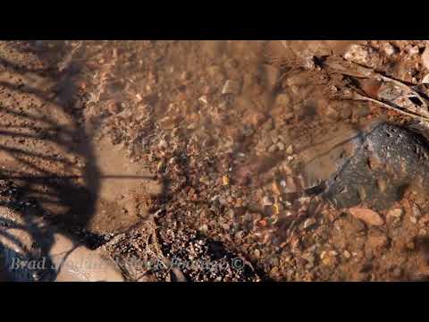 NM043 Gila River Water Stream CU