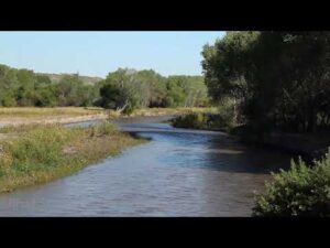 NM044 Gila River Downstream Bend