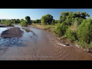 NM050 Gila River downstream