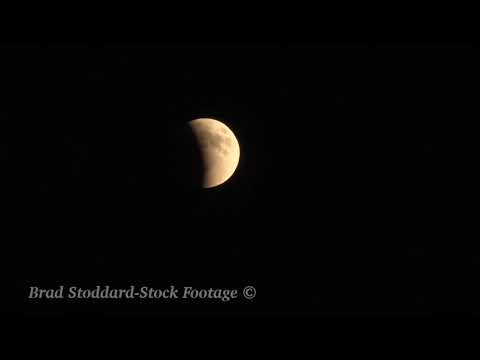 NM130 Lunar Eclipse Time-lapse 30p