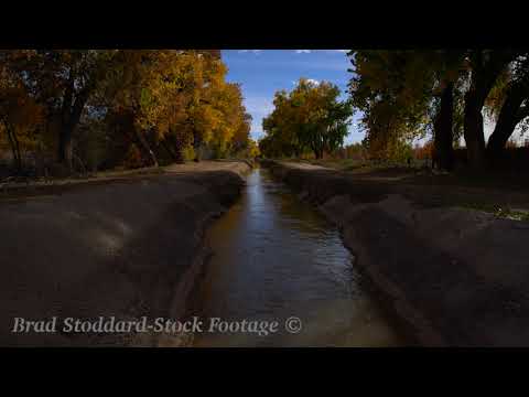 NM154 Rio Grande Bosque Fall Acequia tiltdown